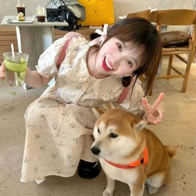 比基尼大作战